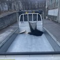 이미지6